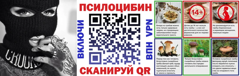 Псилоцибиновые грибы Psilocybine cubensis продажа наркотиков Козьмодемьянск
